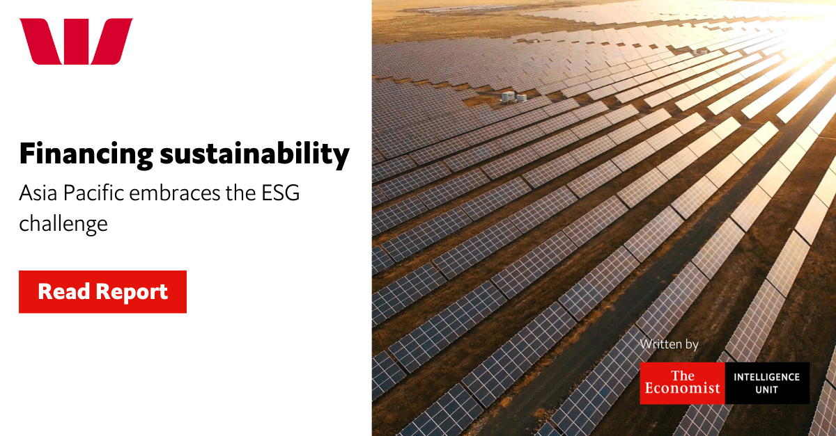 Financing sustainability report